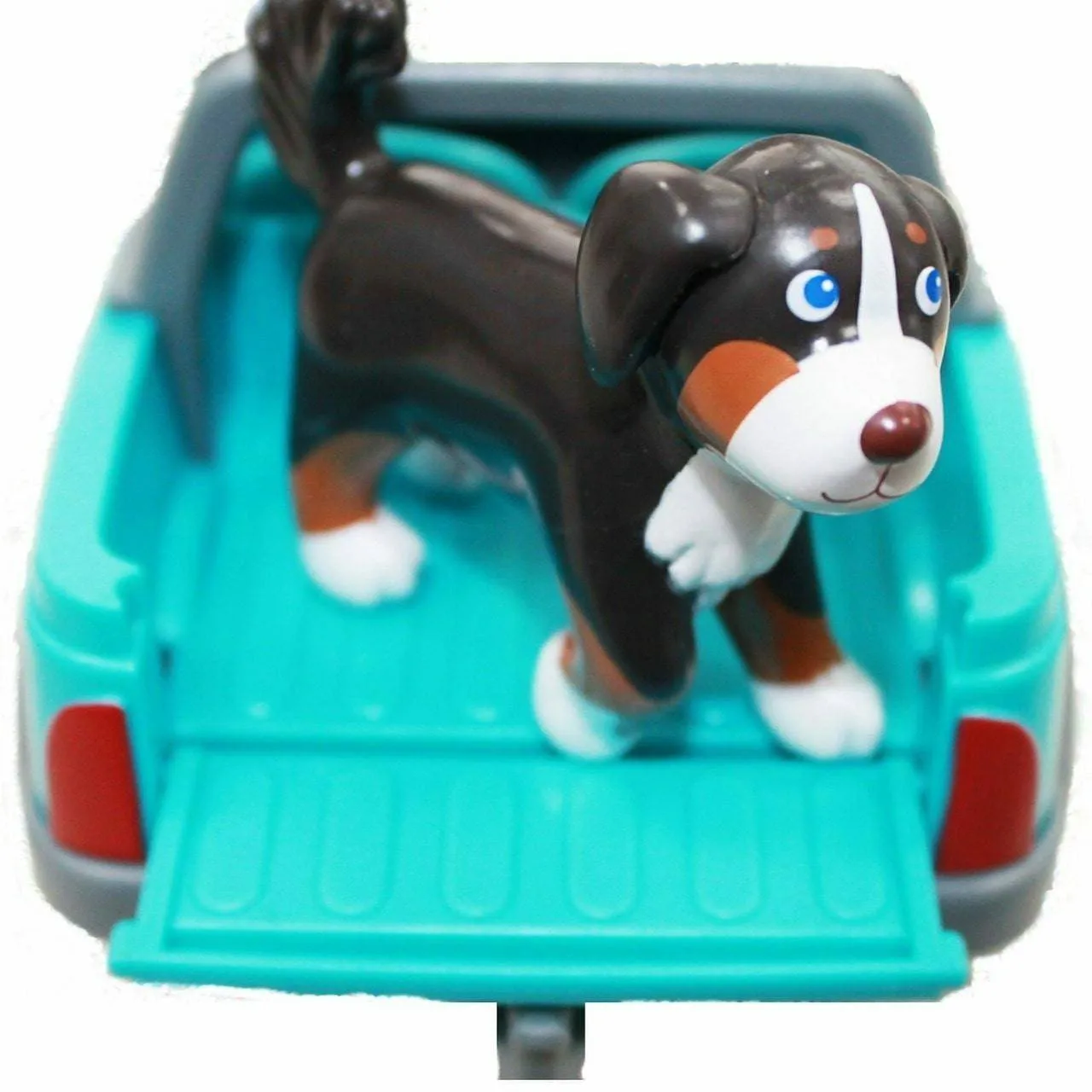 Kleine Freunde Leika der Berner Sennenhund