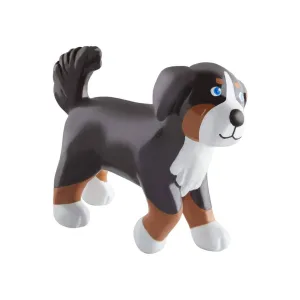 Kleine Freunde Leika der Berner Sennenhund