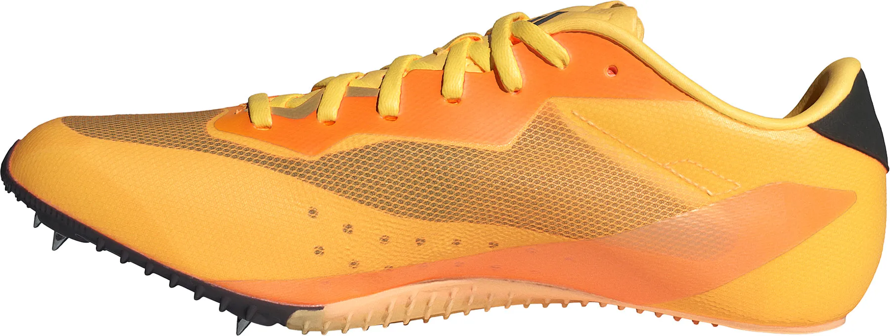 Schuhe Adidas Fußbekleidung Herren adidas Sprintstar Laufspikes - Orange