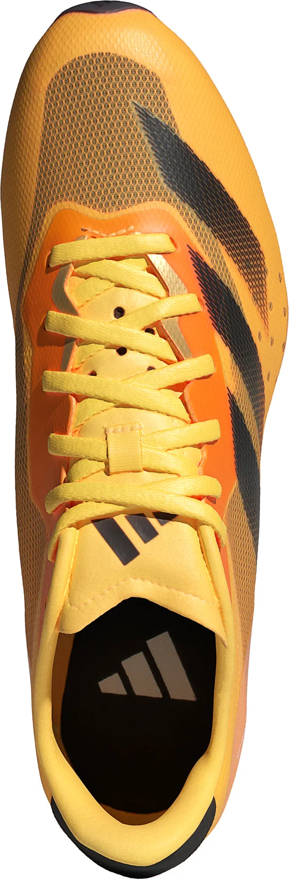Schuhe Adidas Fußbekleidung Herren adidas Sprintstar Laufspikes - Orange