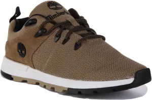 Timberland Sprint Trekker A5X1C Herrenschuhe in Olive von Timberland